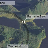 Barnacle bay